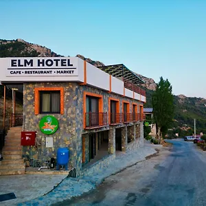 Elm Fethiye